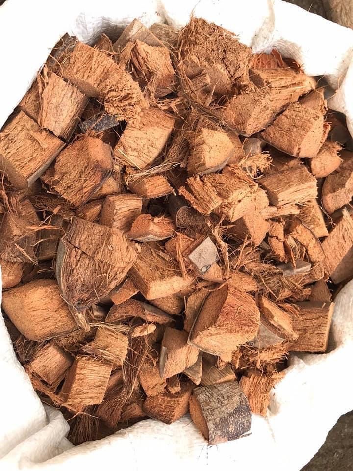 Fibra de Coco Chips