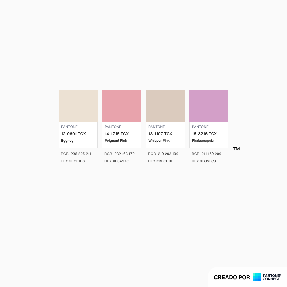 Orquídea Grande Fairy Pumpkin