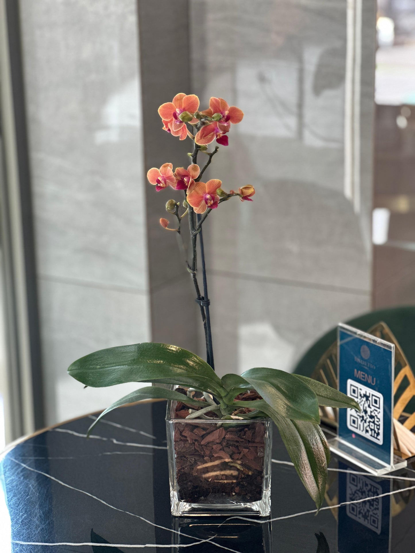 Arreglo Multifloral Individual