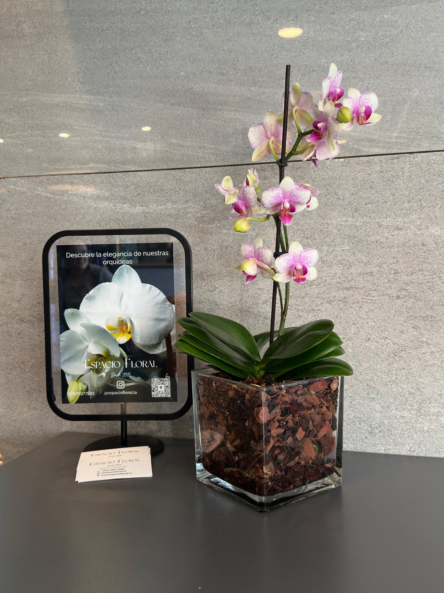 Arreglo Multifloral Individual