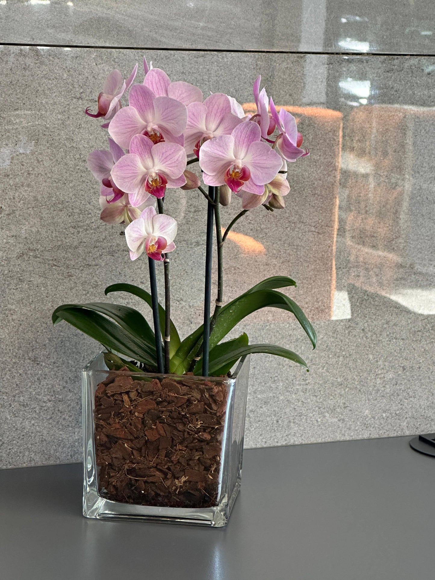 Arreglo Multifloral Individual